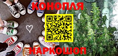 прущие грибы Новокубанск