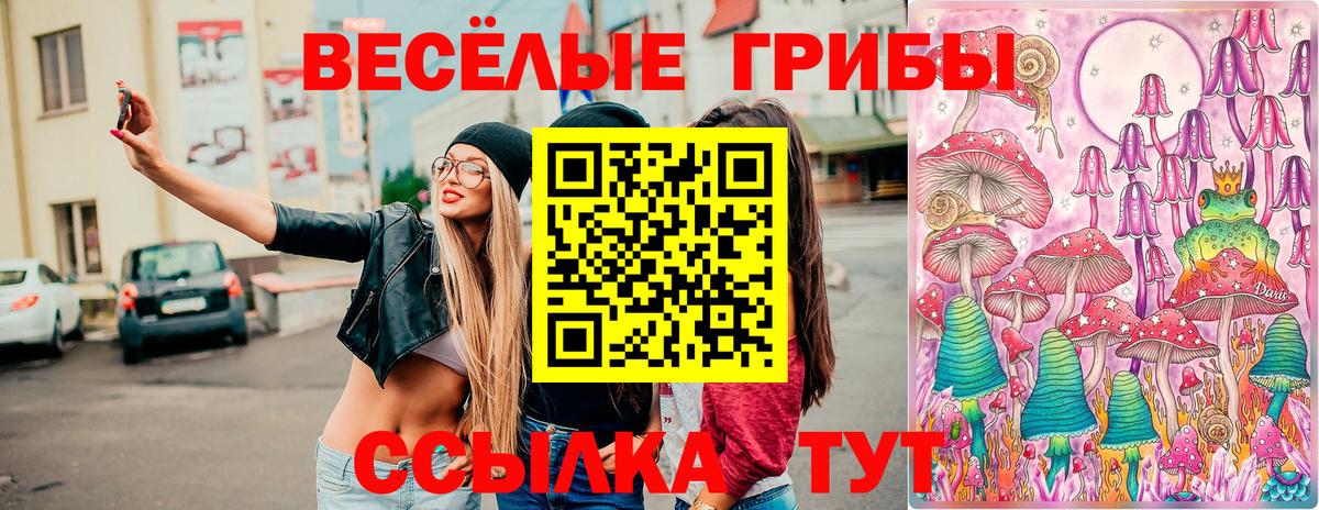 Галлюциногенные грибы Cubensis Чехов