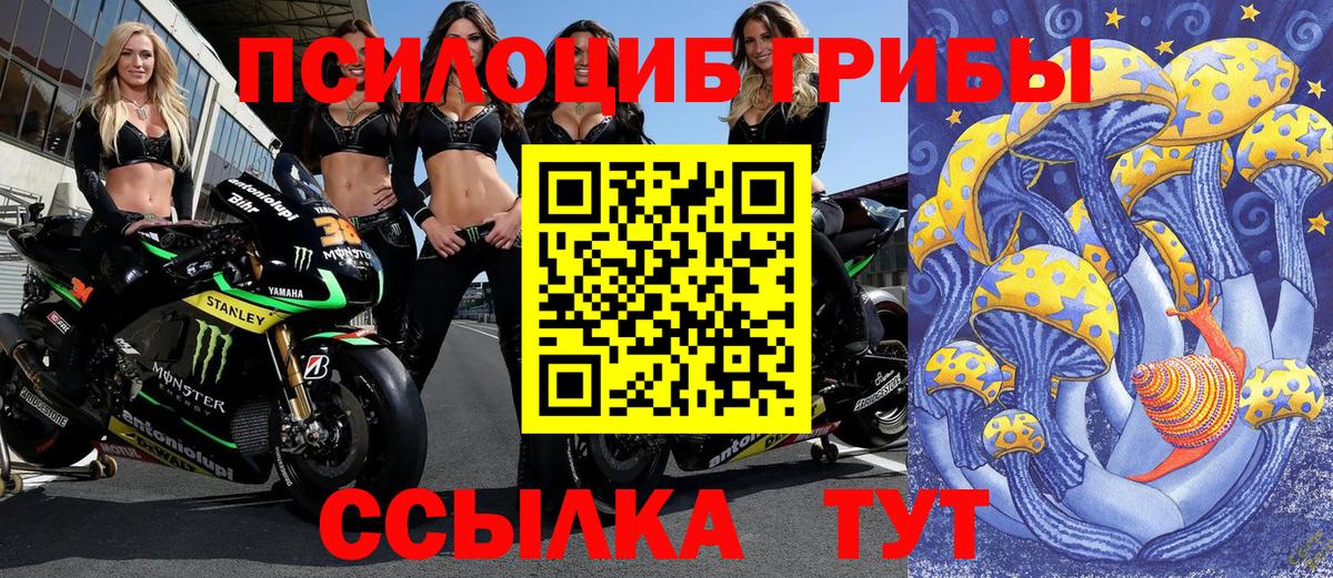 Чехов  Галлюциногенные грибы GOLDEN TEACHER  Вход с VPN 